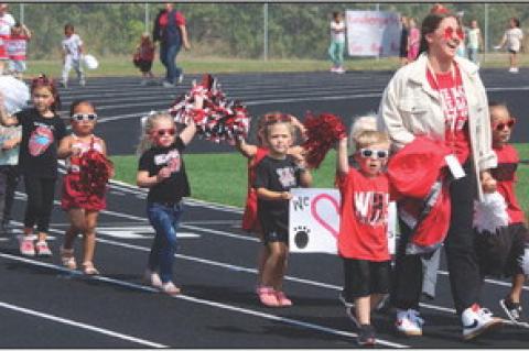 Article Image Alt Text