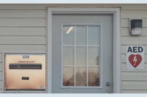 Article Image Alt Text