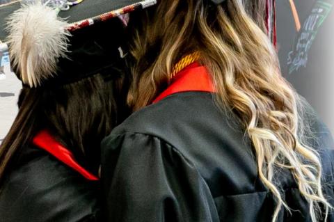 Article Image Alt Text