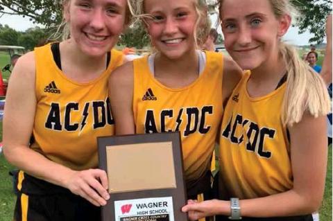 Article Image Alt Text