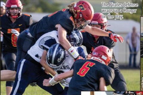 Article Image Alt Text