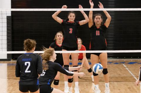 Article Image Alt Text