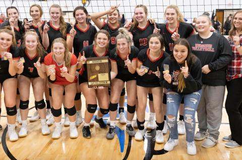 Article Image Alt Text