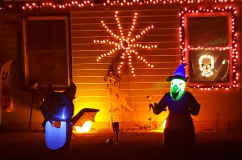 Article Image Alt Text