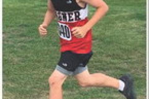 Article Image Alt Text