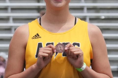 Article Image Alt Text