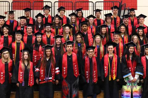 Article Image Alt Text