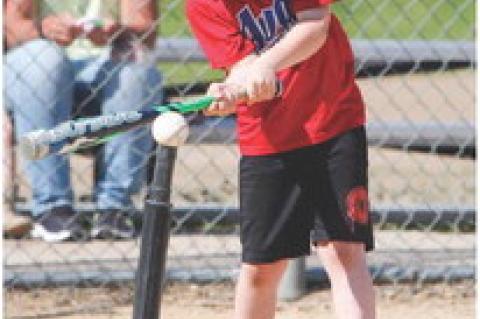 Article Image Alt Text