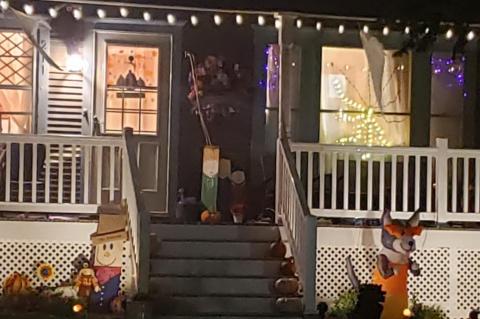 Article Image Alt Text