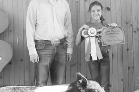 Article Image Alt Text