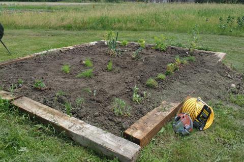 4-H PROGRAM RECEIVES CFEL GARDENING MINI GRANT