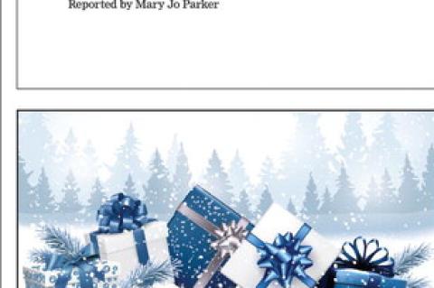 Article Image Alt Text