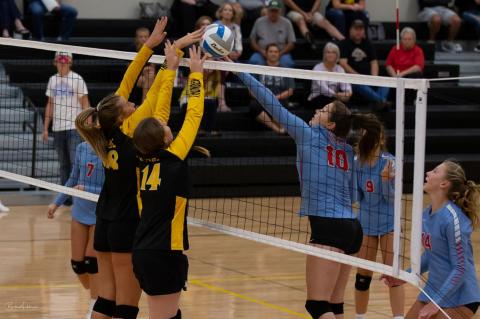 Article Image Alt Text