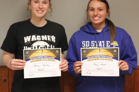 Article Image Alt Text