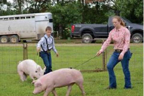 Article Image Alt Text