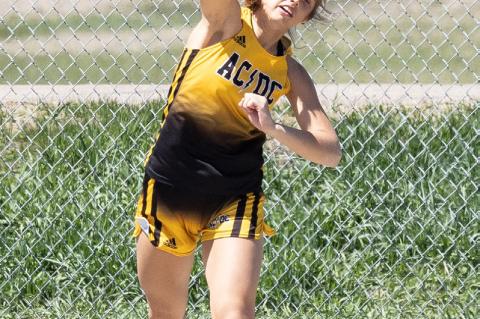 Article Image Alt Text