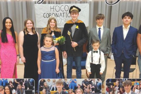 Article Image Alt Text