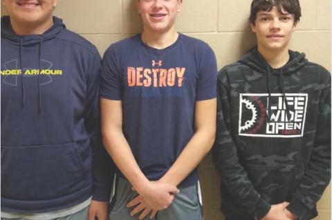 Article Image Alt Text