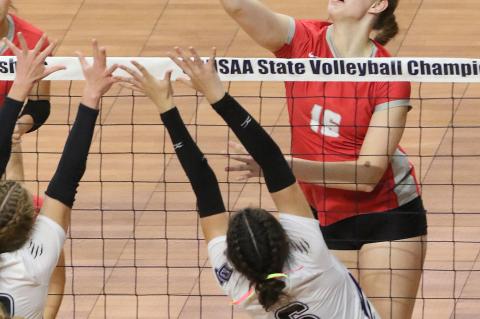 Article Image Alt Text