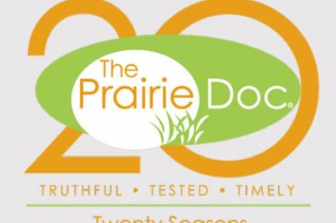 TIME HEALS ALL WOUNDS