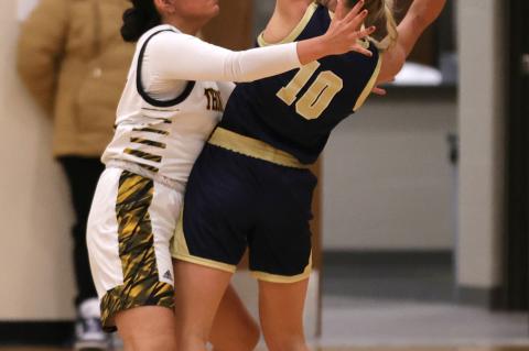 Article Image Alt Text