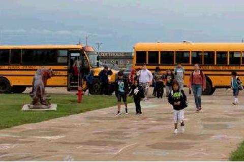 Article Image Alt Text