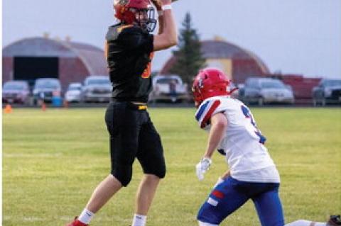 Article Image Alt Text