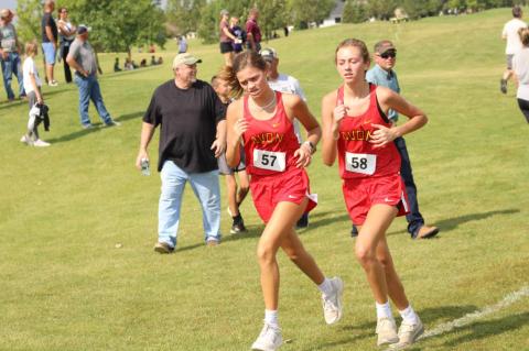 Article Image Alt Text