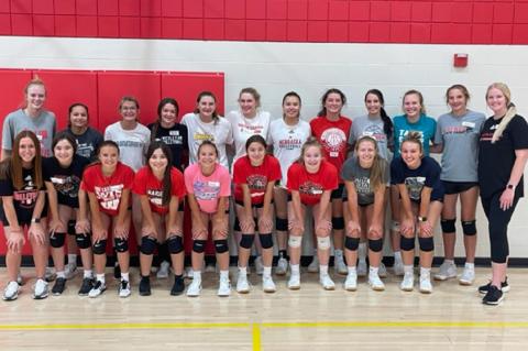 Article Image Alt Text