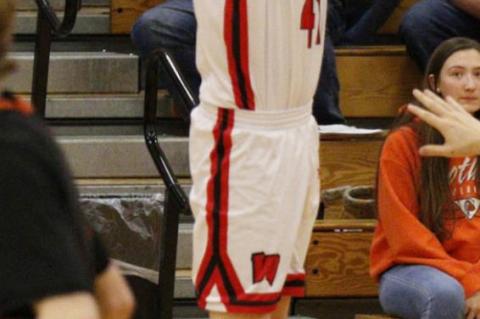 Article Image Alt Text