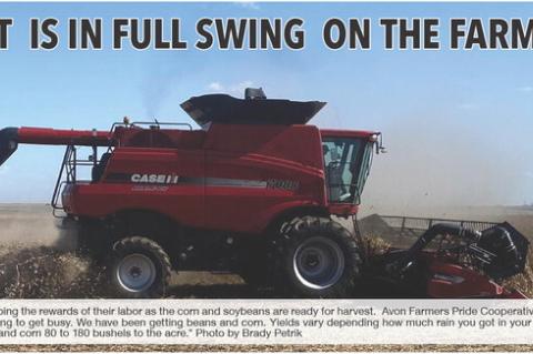 Article Image Alt Text