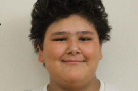 Article Image Alt Text