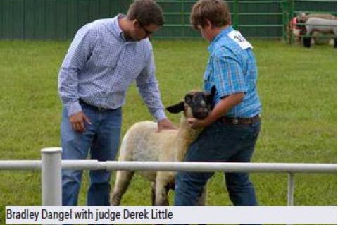 Article Image Alt Text