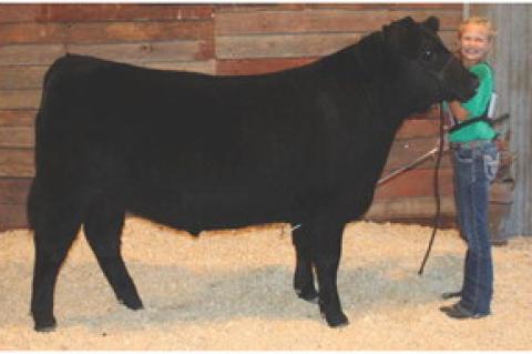 Article Image Alt Text