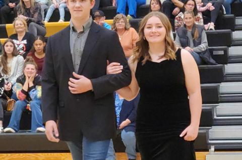 Article Image Alt Text