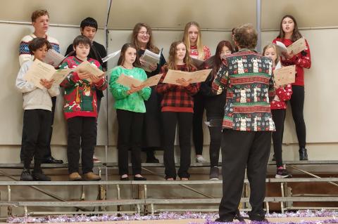 Article Image Alt Text