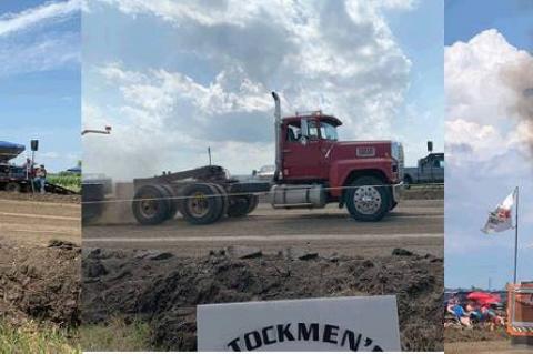 Article Image Alt Text