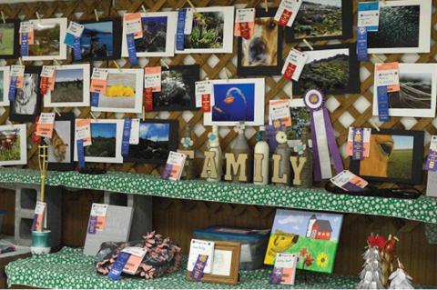 Article Image Alt Text