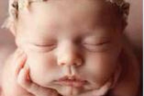 Article Image Alt Text