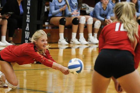 Article Image Alt Text