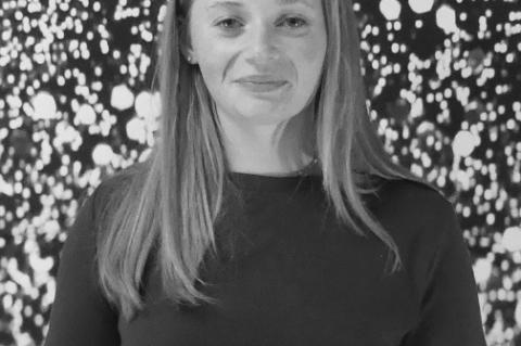 Article Image Alt Text