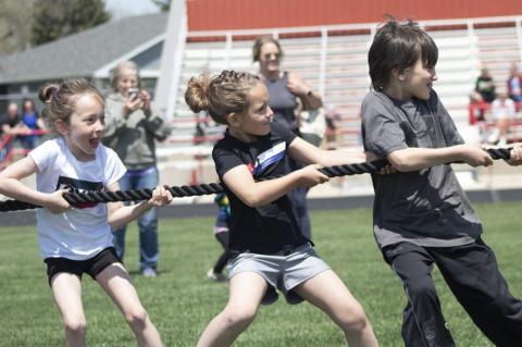 Article Image Alt Text