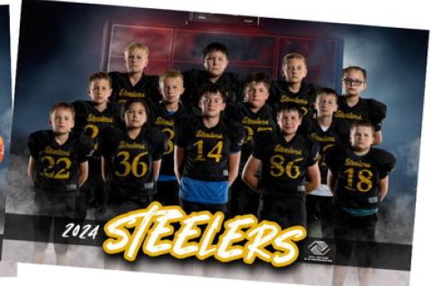 Article Image Alt Text