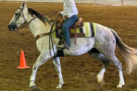 CHARLES MIX COUNTY 4-H HORSE SHOW