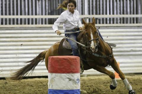 Article Image Alt Text