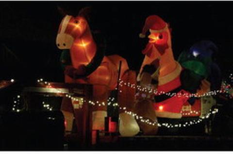 Article Image Alt Text