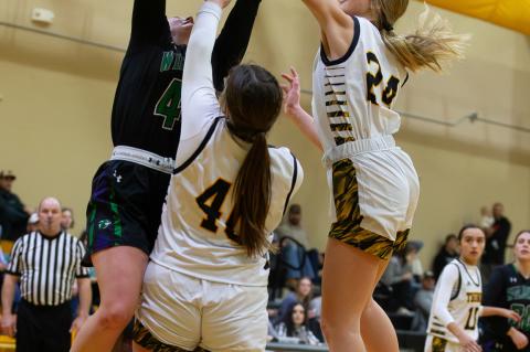 Article Image Alt Text