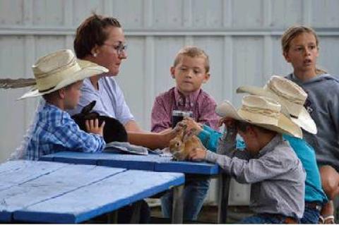 Article Image Alt Text