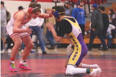 Article Image Alt Text