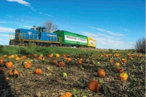 Article Image Alt Text